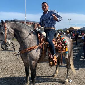 Meet your Posher, Jesus a.